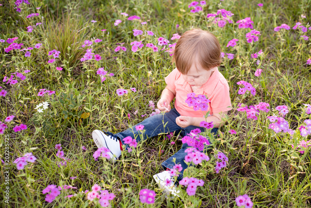 Little boy in the meadow of purple flowers on a sunny day, child in field of flowers