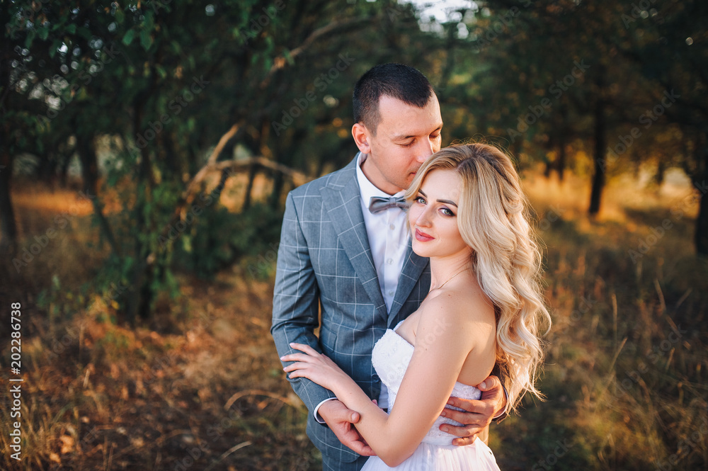 Fototapeta premium Beautiful and stylish newlyweds are hugging amidst the chic nature at sunset. The groom hugs and kisses the bride with curly hair. Portrait of a newlywed couple.