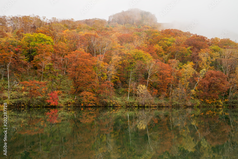 Maruike pond in autumn season, Nagano, Japan.