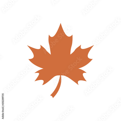 Maple leaf thanksgiving day flat icon vector