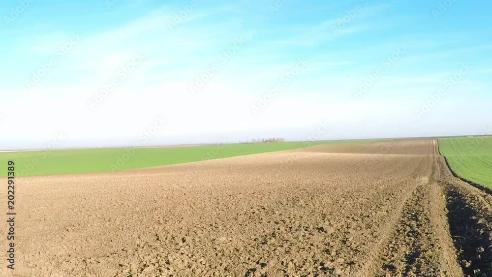 young green wheat and plowed fields landscape young green wheat and plowed fields landscape