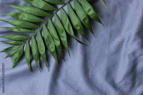 palm leaves on a fabric background with free space for text. template for design. minimalism, creativity. 