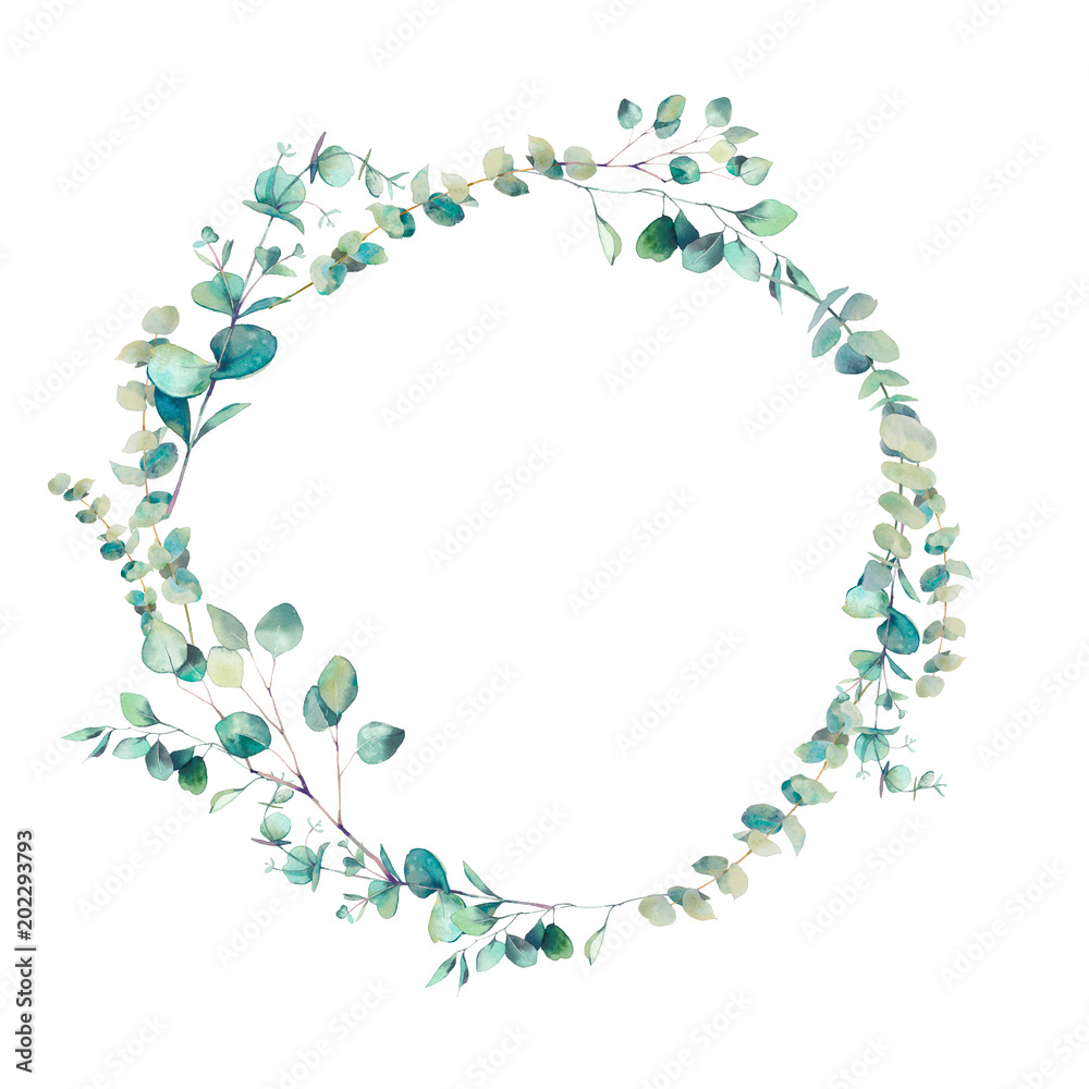 Watercolor eucalyptus branches wreath. Hand painted floral clip art: round frame isolated on white background. - obrazy, fototapety, plakaty 