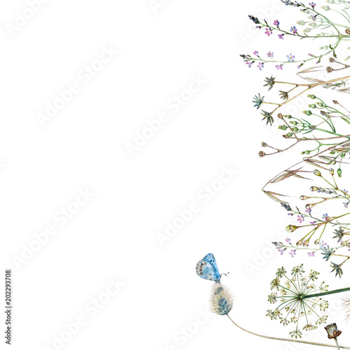 The border to the right of the wildflowers and the blue butterfly with the empty space on the left for the text.