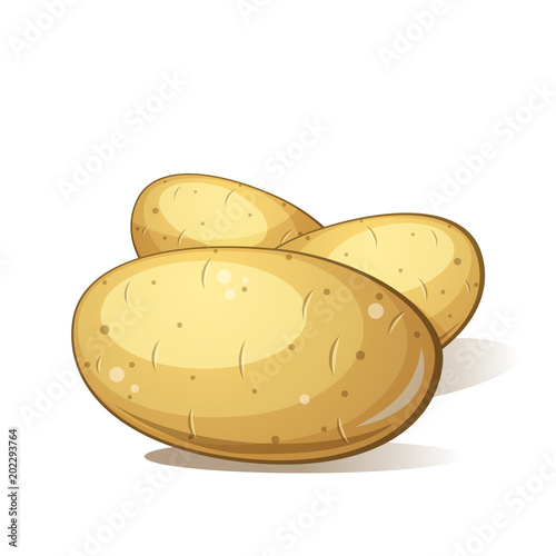 Three cartoon potato. Tasty and healthy food. Vector eps 10