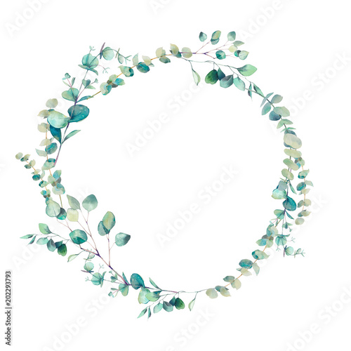 Watercolor eucalyptus branches wreath. Hand painted floral clip art: round frame isolated on white background.