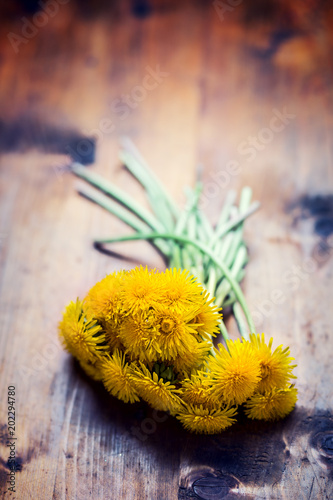 Fototapeta Naklejka Na Ścianę i Meble -  Dandelion bouquet on wooden table