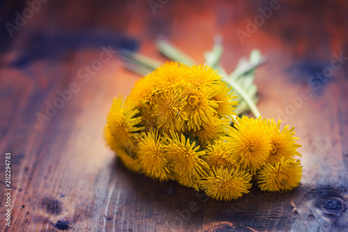 Fototapeta Naklejka Na Ścianę i Meble -  Dandelion bouquet on wooden table