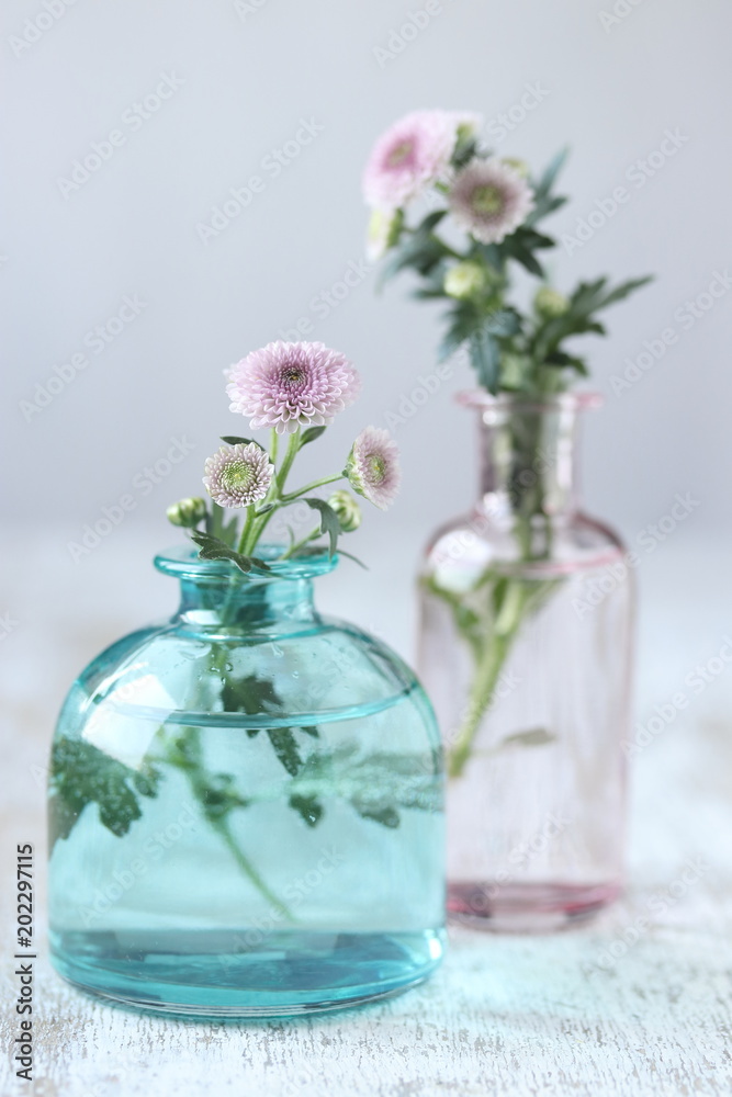 chrysanthemum flowers in vase chrysanthemum flowers in vase