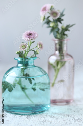 chrysanthemum flowers in vase