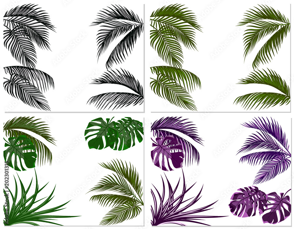 Sets of colorful leaves of tropical palm trees. Monster, agave. Isolated on white background. illustration