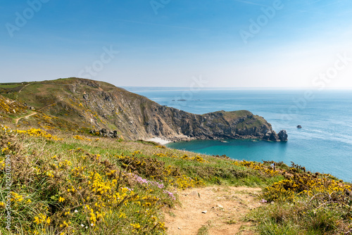 Nez de Jobourg - Coastline on peninsula Cotentin near Jobourg, France