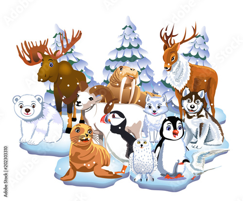 set of arctic animals like seal, walrus, moose, reindeer, penguin, polar bear, fox isolated on a white background