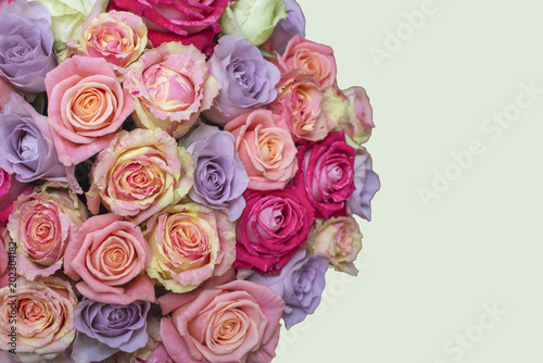 Bunch of multi-colored roses over beige background. Selective focus with sample text