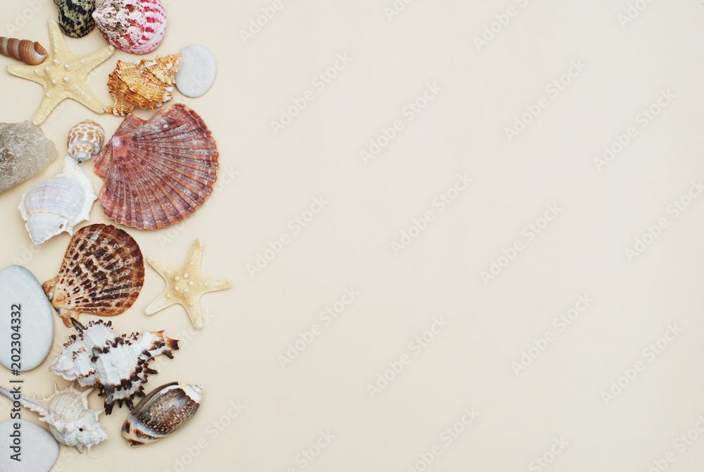Obraz premium Shells and Stones over Ivory Background with Copy space for Text. Top View. Vacation Summer holliday.