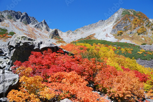 Karasawa cirque with colorful leaves - best autumn season / 錦秋の涸沢カール - ベストシーズン