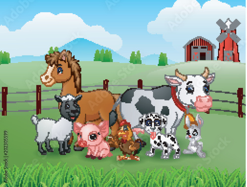 Animals farm in the hills