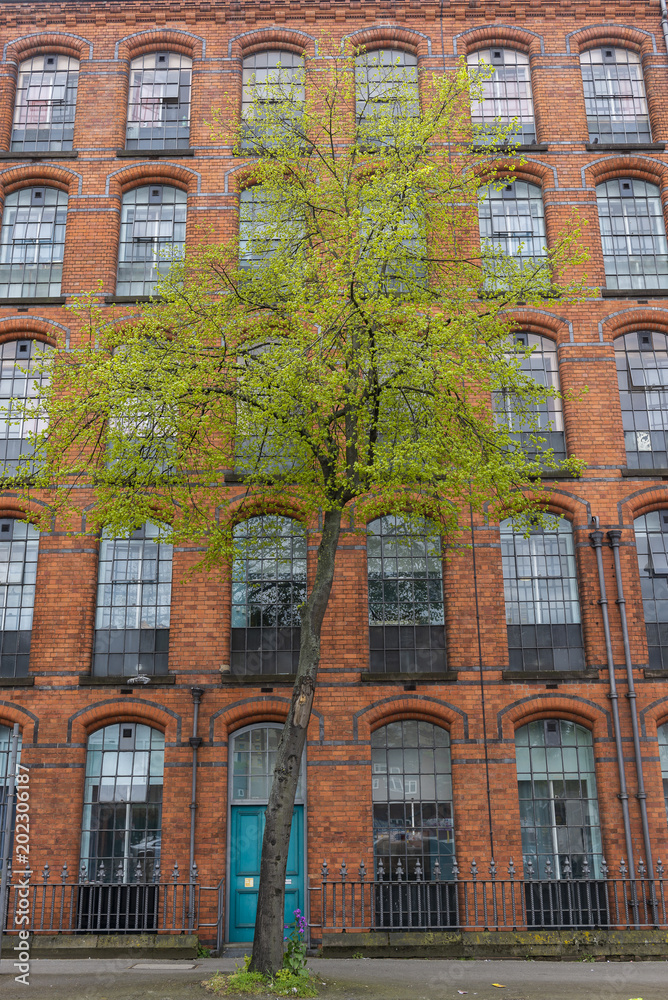 Obraz premium Nottingham building