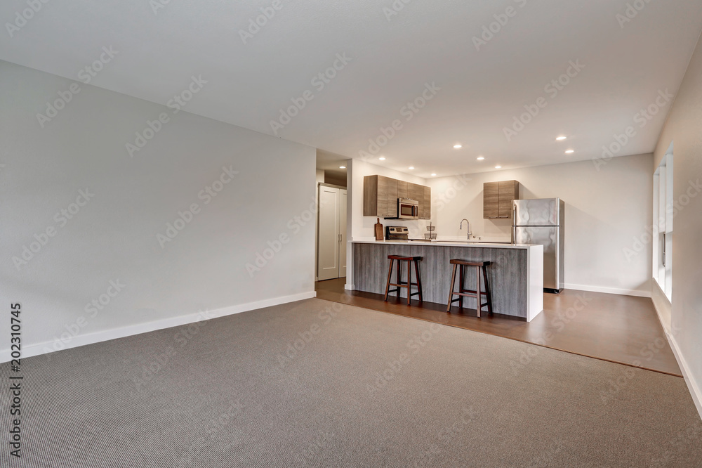 Fototapeta premium New modern apartment with grey kitchen