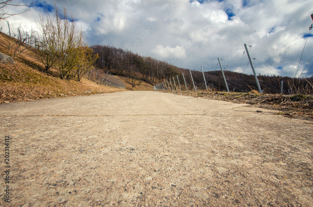 Low angle view to an old street in the German vineyards