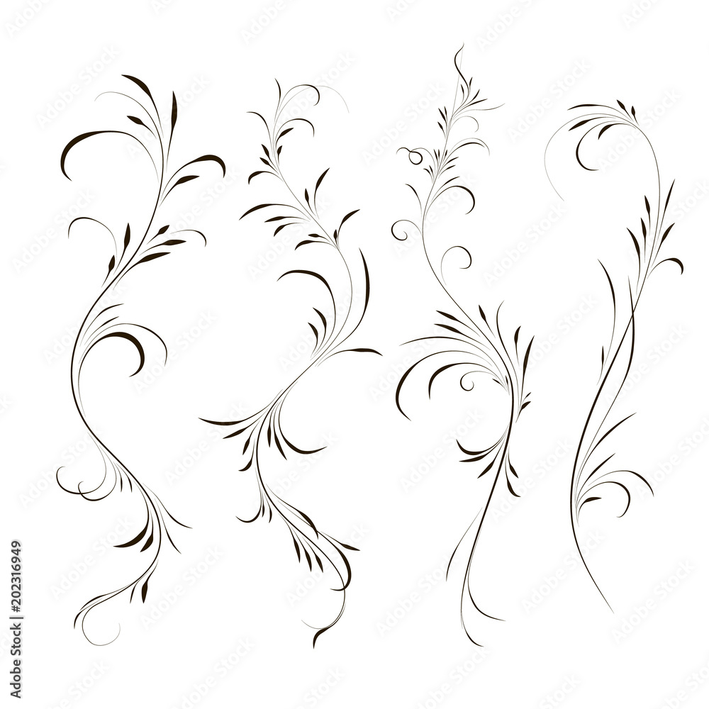 Fototapeta premium Set of calligraphic element, curls, vector