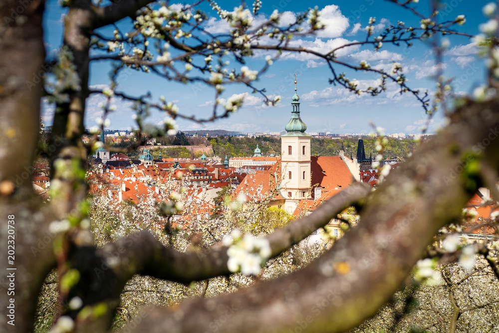 Fotografie The blooming view on Church in Petrin hill, Prague