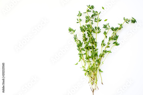 Bunch of fresh thyme on white background