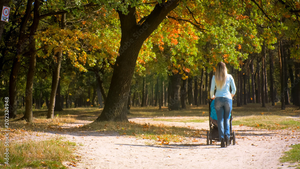 Rear view image of young mother with baby sitting in pram walking on pathway at autumn park