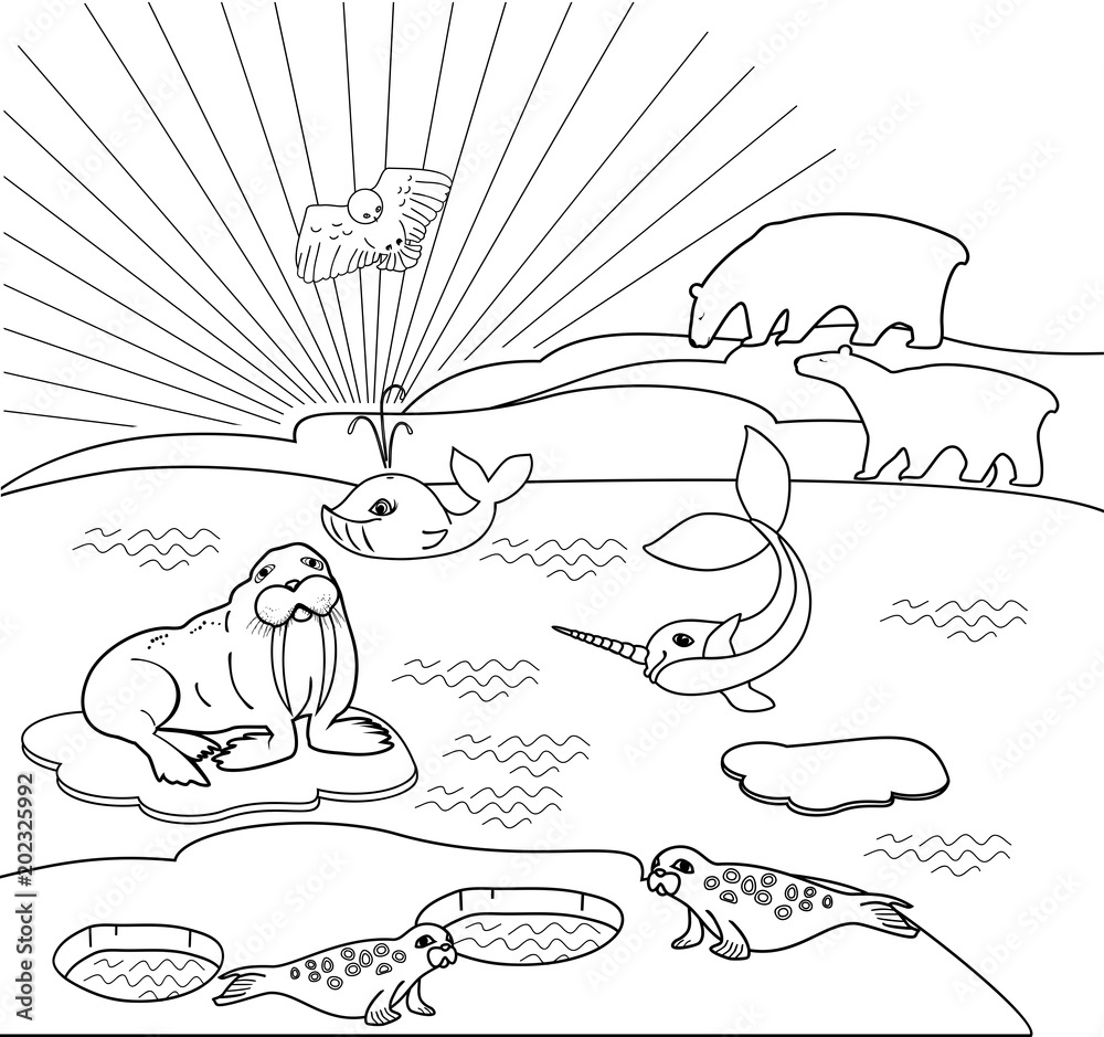 Раскраска северное сияние для детей распечатать Coloring page. Northern landscape with different polar animals Векторный объект 