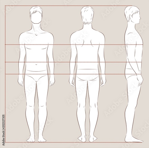 Men body measurements