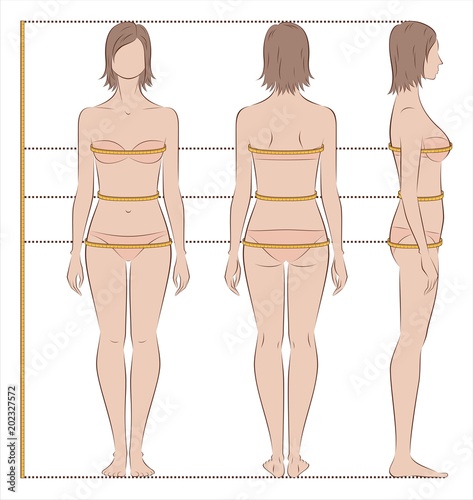 Women body measurements