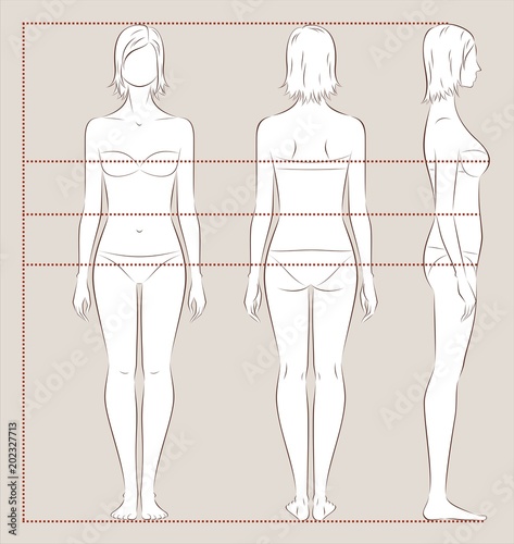 Women body measurements