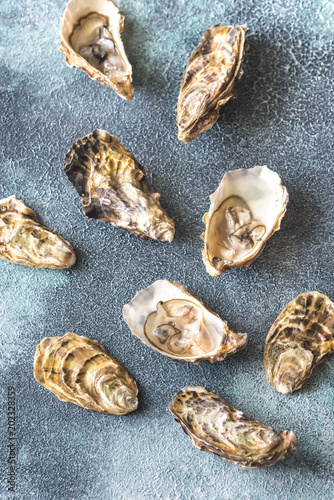 Raw oysters on the gray background