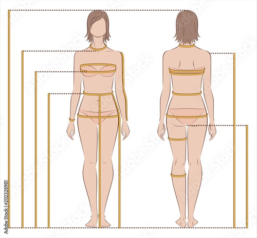 Women body measurements