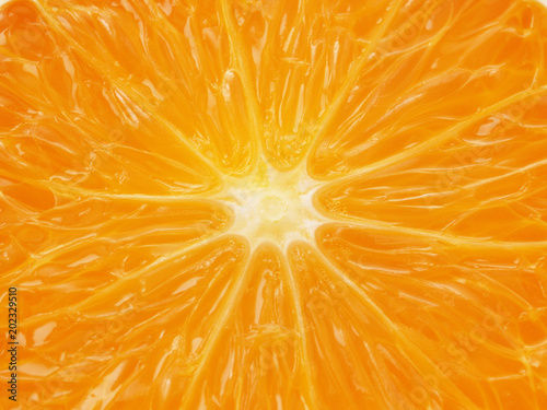 Orange fruit texture