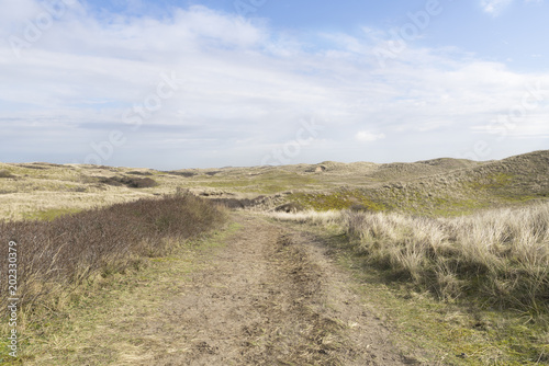Obraz na płótnie The beautiful dunes in Holland w salonie