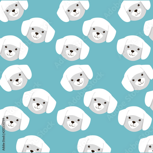 cute dogs heads pattern characters vector illustration design