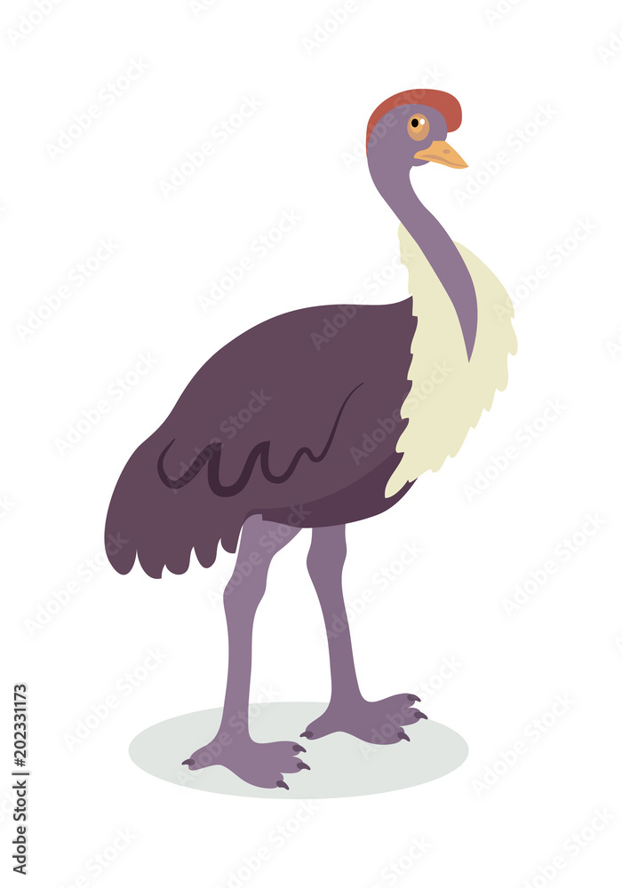 Ostrich Cartoon Flat Vector Illustration Ostrich Cartoon Flat Vector Illustration