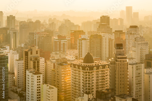 Panoramic view of Sao Paulo, Brazil, South America