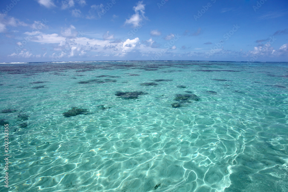 Beautiful clear ocean, Punta Cana, Dominican Republic, Caribbean.