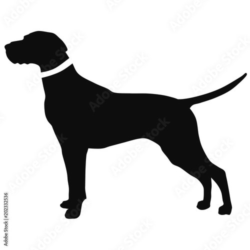 black and white drawing of a hunting dog. The silhouette of the pointer