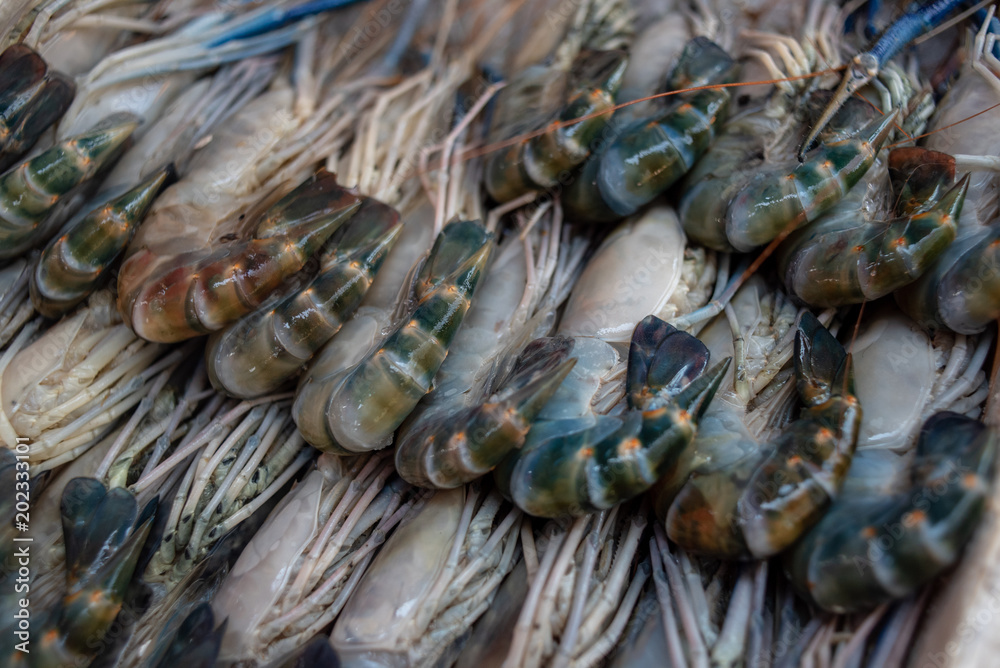 Raw river big fresh river shrimp on ice for sell close up