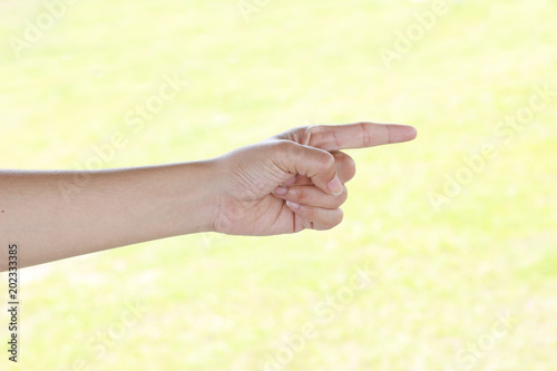 Woman hand isolated on green background © naiauss