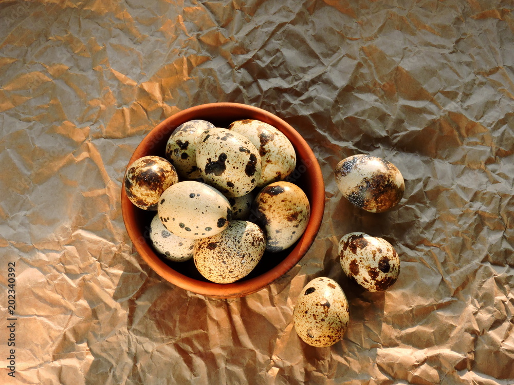 Selected quail eggs in the dark pottery. Macro. Natural sunlight. Selected quail eggs in the dark pottery. Macro. Natural sunlight.