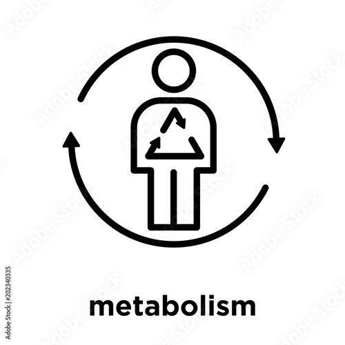 metabolism icon isolated on white background