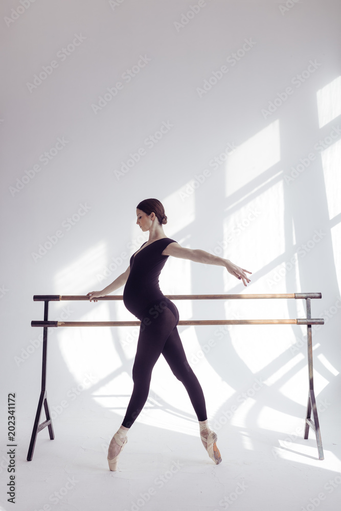Young beautiful ballerina is posing in studio Young beautiful ballerina is posing in studio