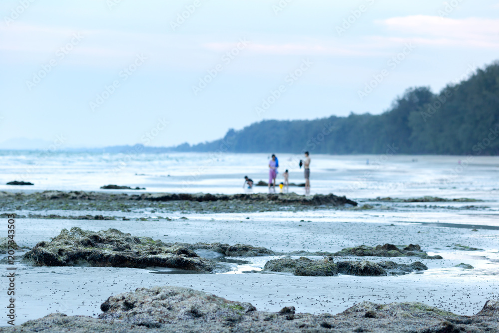 Sea beach with rocks, sand and sea pine trees in southern of Thailand