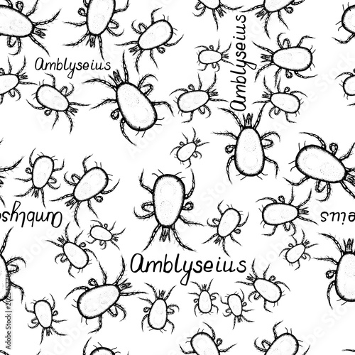 Seamless pattern hand drawn sketch of mite Amblyseius in ink on white background