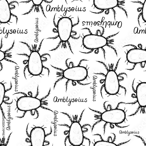 Seamless pattern hand drawn sketch of mite Amblyseius in ink on white background