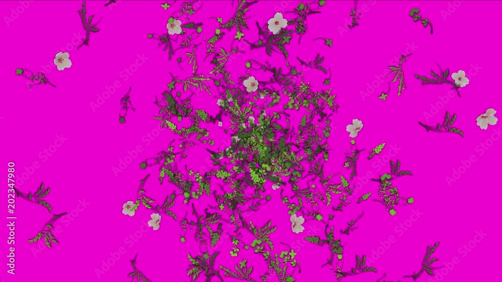 4k lush flower petal leaves crops shrubs bushes plant grass growing,microbes bacteria spores background. 4k lush flower petal leaves crops shrubs bushes plant grass growing,microbes bacteria spores background.